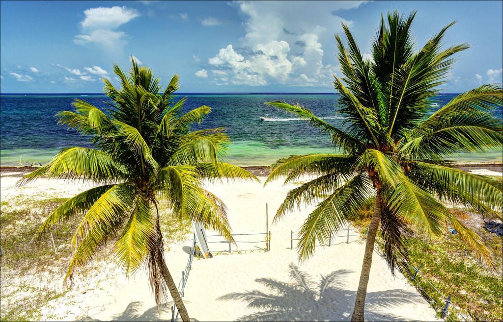 Beach Front House At Puerto Morelos Villa Eksteriør billede