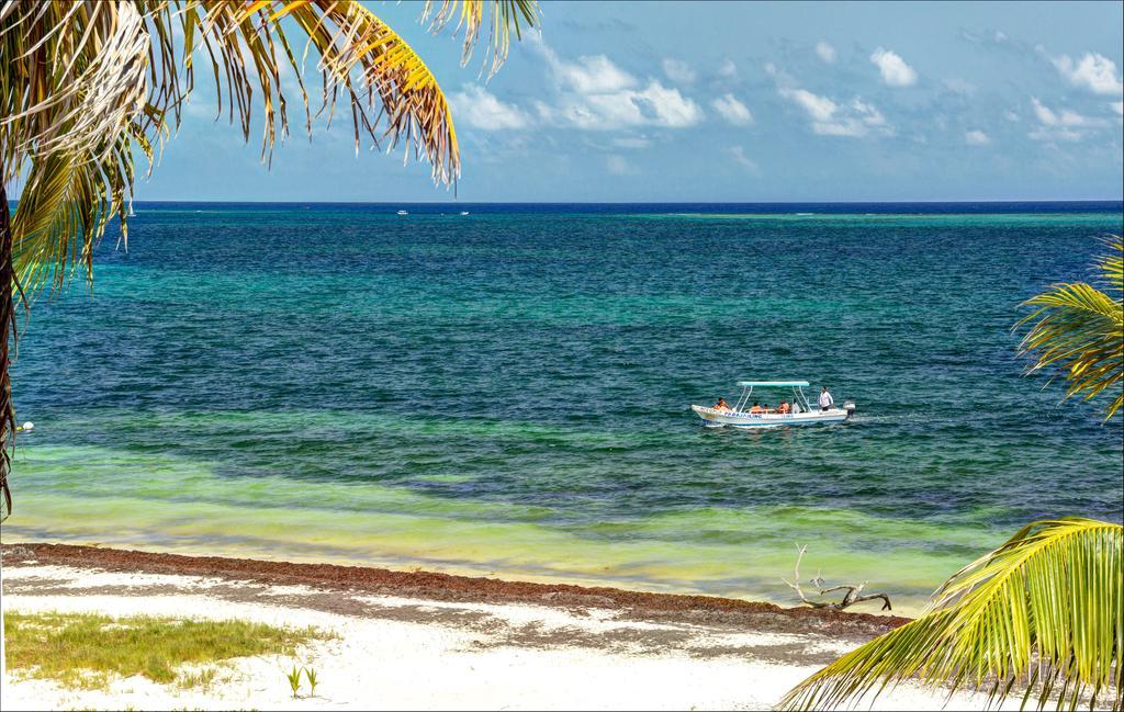 Beach Front House At Puerto Morelos Villa Eksteriør billede